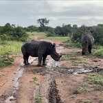 Photo taken by Michael Z