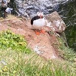 Photo taken by Eliza M