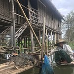 Photo taken by Cynthia C