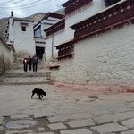 Photo taken by Vitaliy V