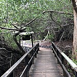 Photo taken by Meggan M