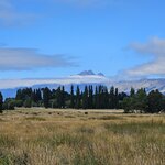 Photo taken by Shelly N