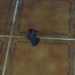 Photo taken by Brett F