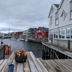 Photo taken by Dani L