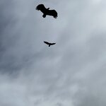 Photo taken by Jared B