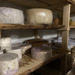 Photo taken by Jessica Z