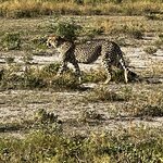 Photo taken by Peter L