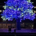 Photo taken by Tracy K