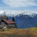 Photo taken by Taylor B