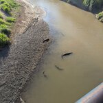 Photo taken by Jacob S