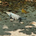 Photo taken by Sushma S