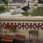 Photo taken by Steve B