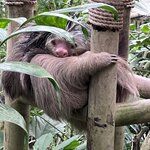 Photo taken by Sheila G