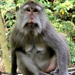 Photo taken by Nancy P