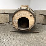 Photo taken by Paul M