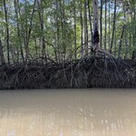 Photo taken by Dana F