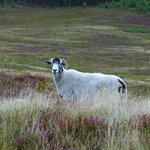 Photo taken by Robert W