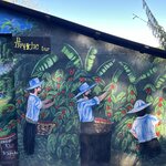 Photo taken by Allen L