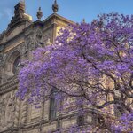 Photo taken by Cary W