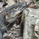 Photo taken by Morton A