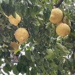 Photo taken by Matt W