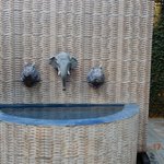 Photo taken by Wayne D