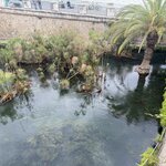 Photo taken by Marcia G