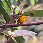 Photo taken by Jayme B