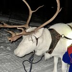 Photo taken by Christa C