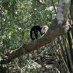 Photo taken by Matt P