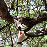 Photo taken by Linda M