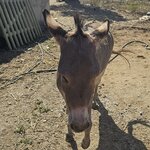 Photo taken by Nicole W