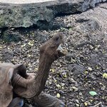 Photo taken by Norma G