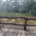 Photo taken by Ricky B