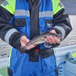 Photo taken by Kim R