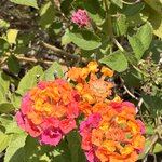 Photo taken by Dixie W