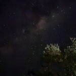 Photo taken by Thomas L