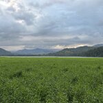 Photo taken by Peter B