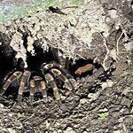 Photo taken by Kozue N