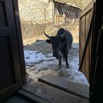 Photo taken by Erika S