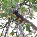 Photo taken by Graeme W