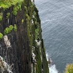 Photo taken by Eliza M