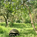 Photo taken by Katarzyna W