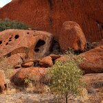 Photo taken by Judy H