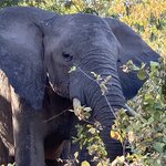 Photo taken by rhonda c