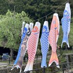 Photo taken by Natalie L