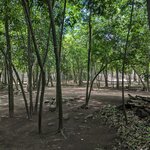 Photo taken by Tatiana F