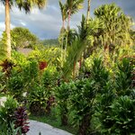 Photo taken by Kathy K