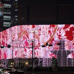 Photo taken by Adrian D