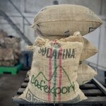 Photo taken by Sophie F